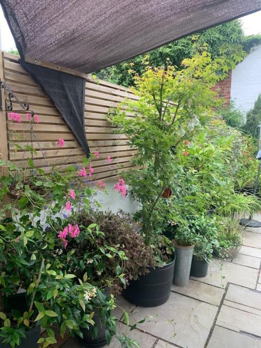 Blachington Cottage, Stunning And Central By Air Premier Seaford Eksteriør billede